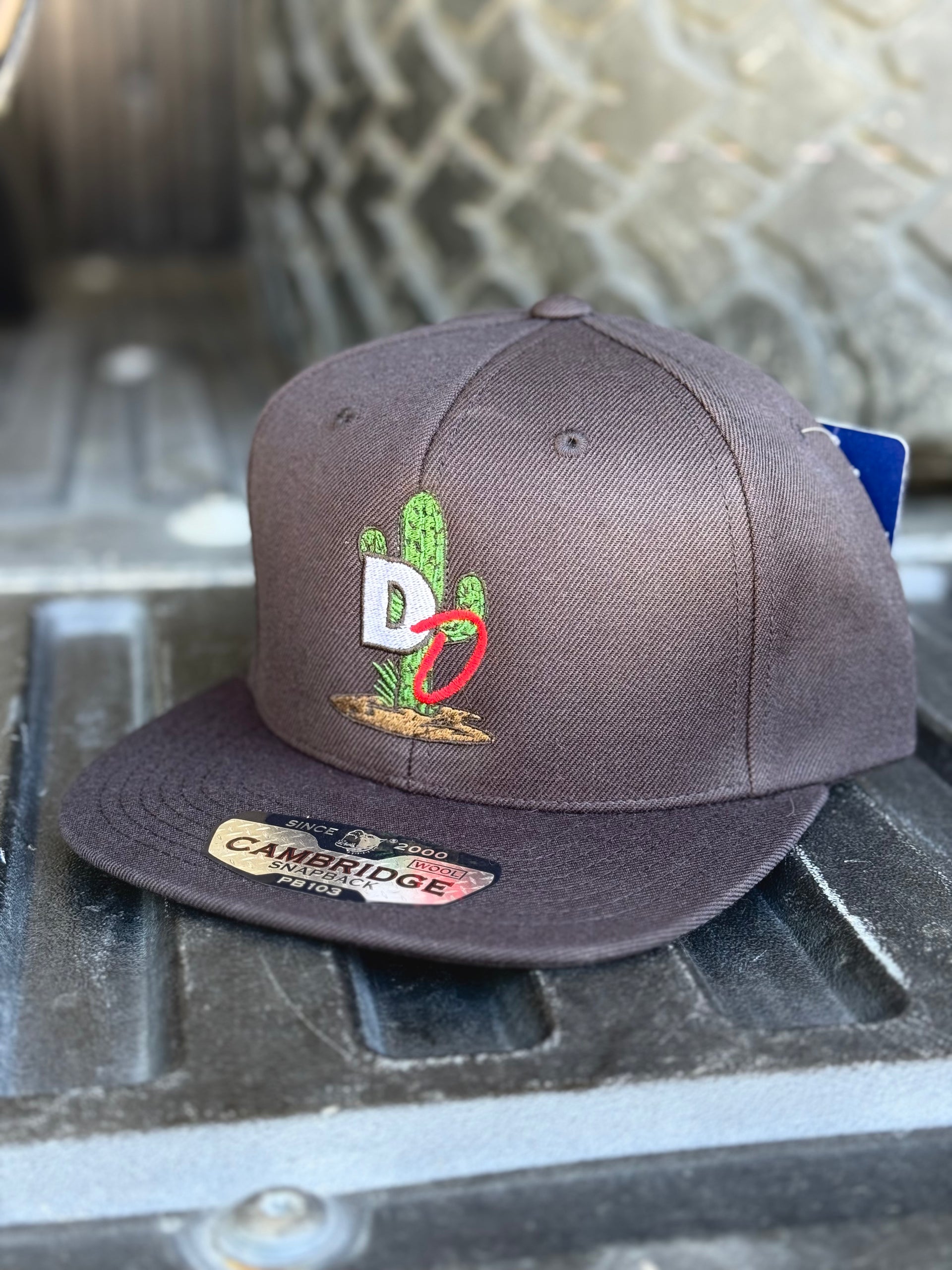 The Classic Hat - Condensed Logo – Desert Dime